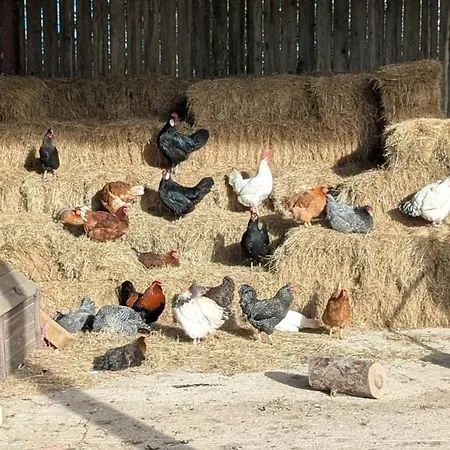 The Coach House, Yealand Redmayne Perfect For A Family In A Rural Setting, Bring Your Dogs And Horse * Beetham