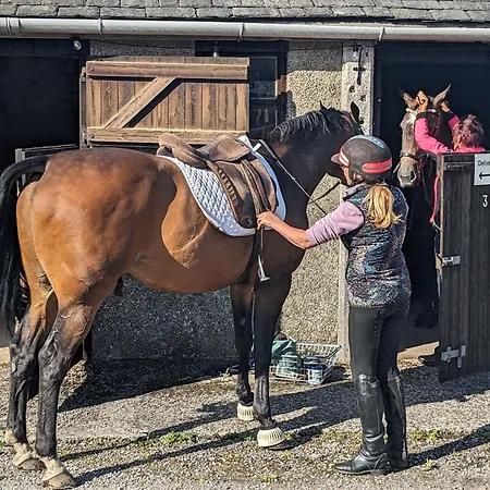 The Coach House, Yealand Redmayne Perfect For A Family In A Rural Setting, Bring Your Dogs And Horse Ferienhaus *