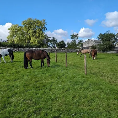 Ferienhaus The Coach House, Yealand Redmayne Perfect For A Family In A Rural Setting, Bring Your Dogs And Horse Beetham