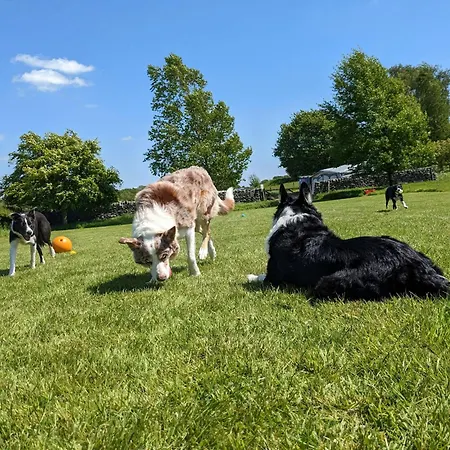 The Coach House, Yealand Redmayne Perfect For A Family In A Rural Setting, Bring Your Dogs And Horse * Beetham